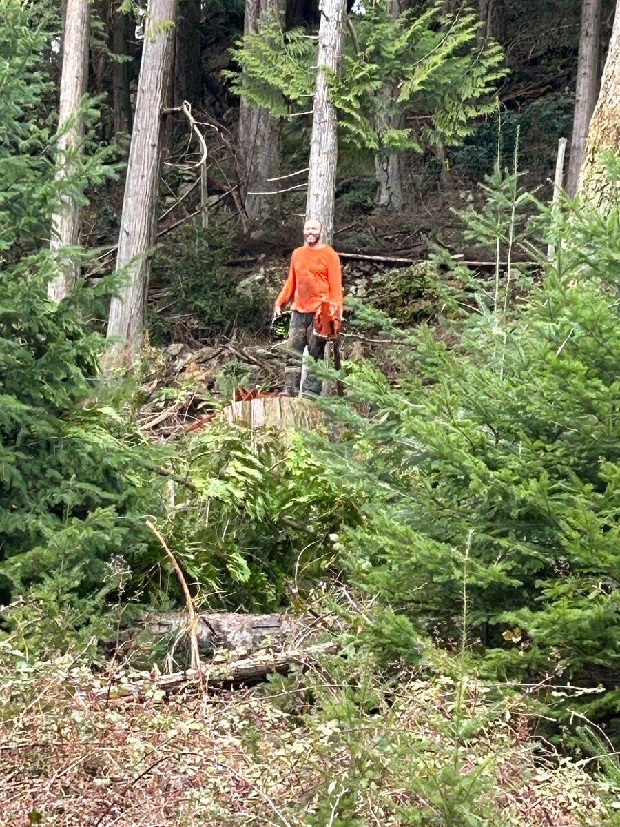 Hillside clearing work